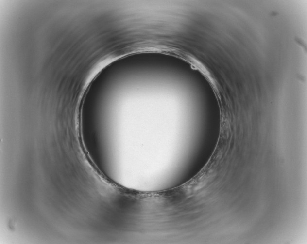 X0000099400811200805081533