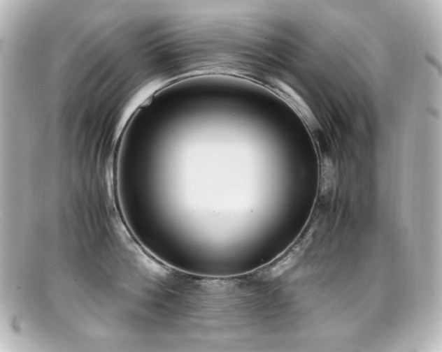X0000099400812200805081533