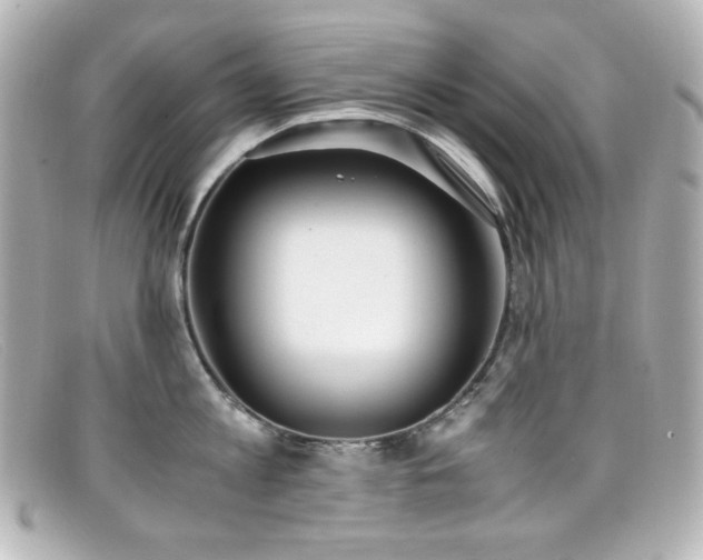 X0000099400813200805081533