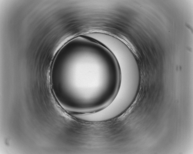 X0000099400814200805081533