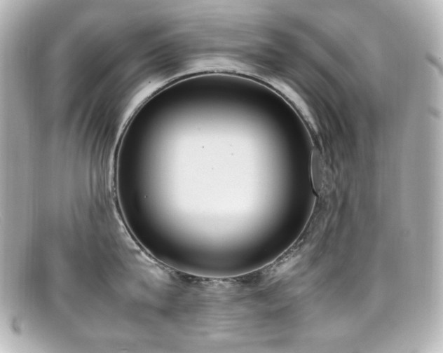 X0000099400815200805081533