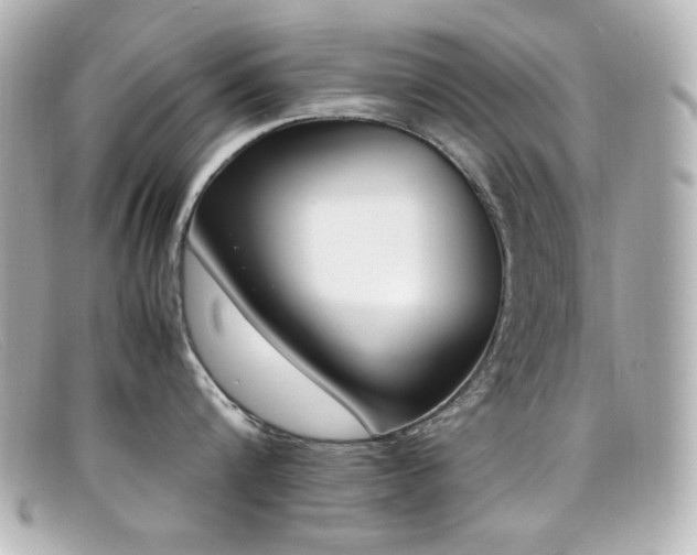 X0000099400816200805081533