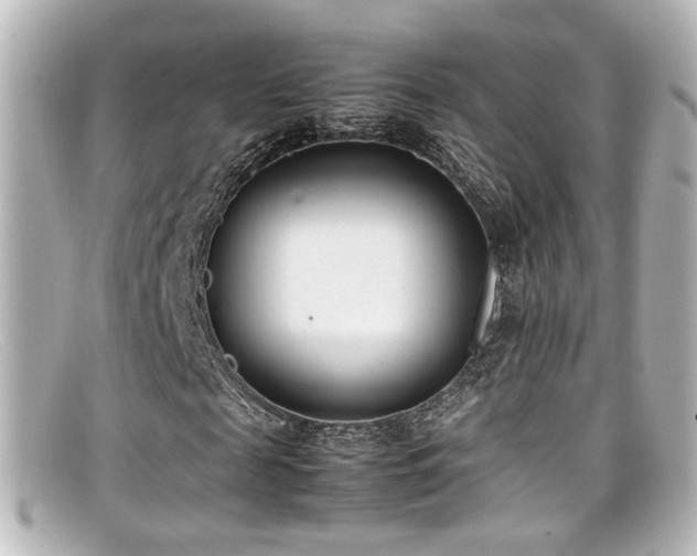 X0000099400817200805081532