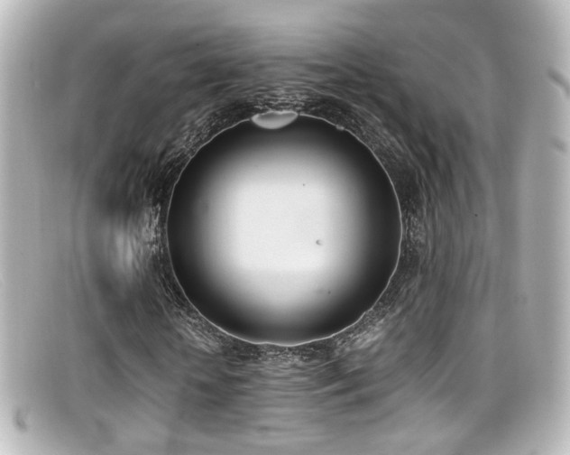 X0000099400818200805081532