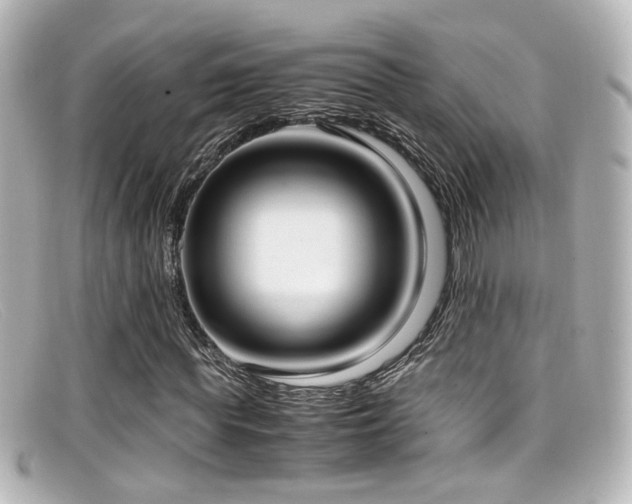 X0000099400819200805081532
