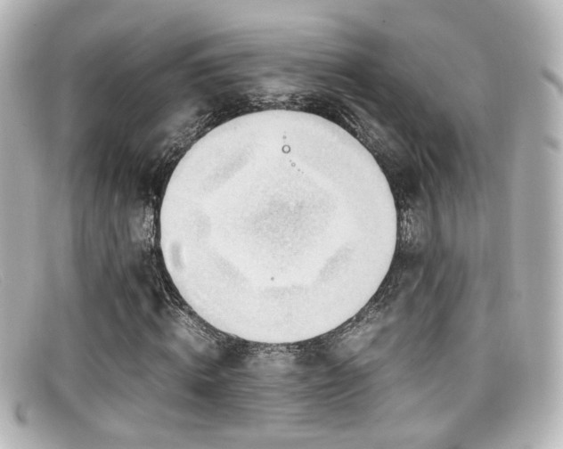 X0000099400820200805081532