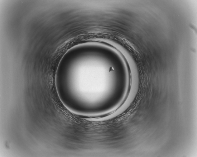 X0000099400821200805081532