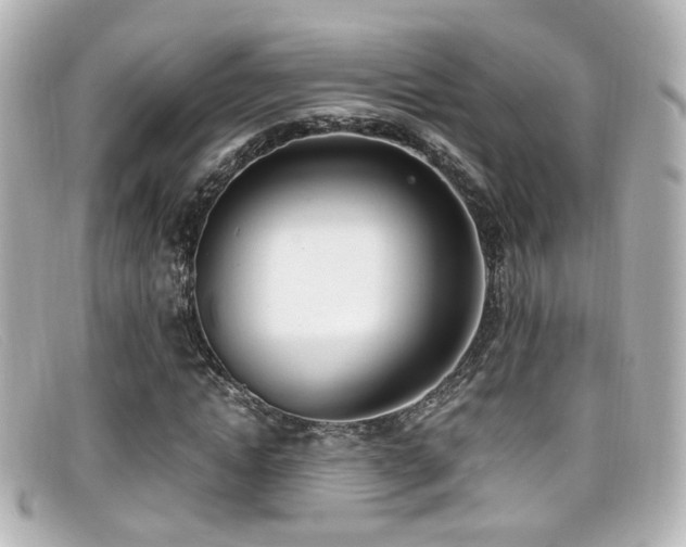 X0000099400822200805081532