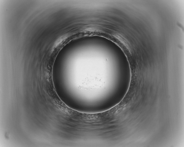 X0000099400823200805081532