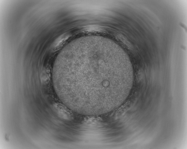 X0000099400824200805081532