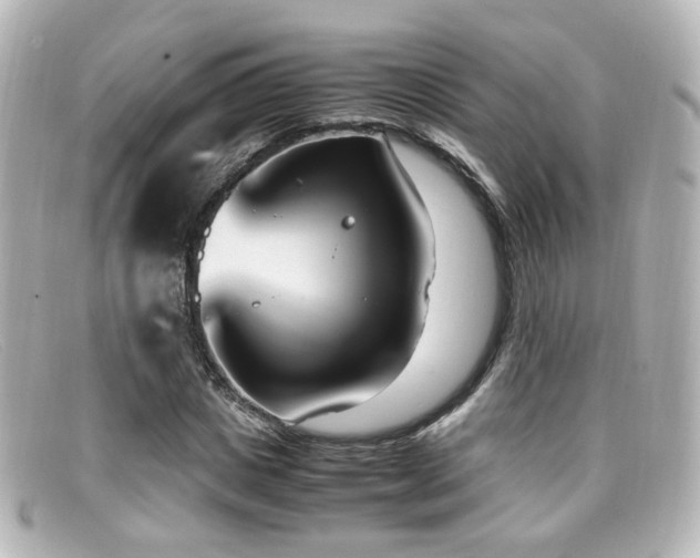 X0000099400825200805081532