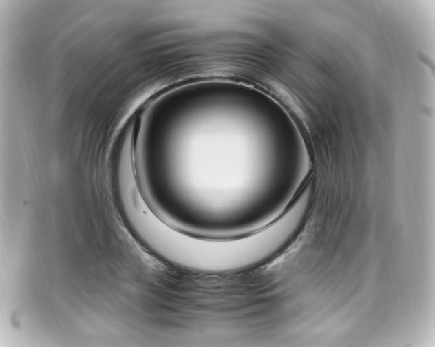 X0000099400835200805081532