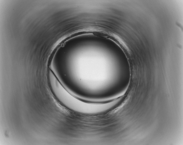 X0000099400837200805081532