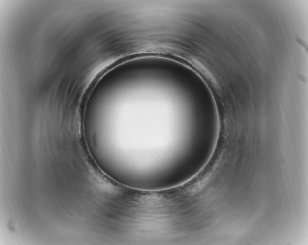X0000099400838200805081532