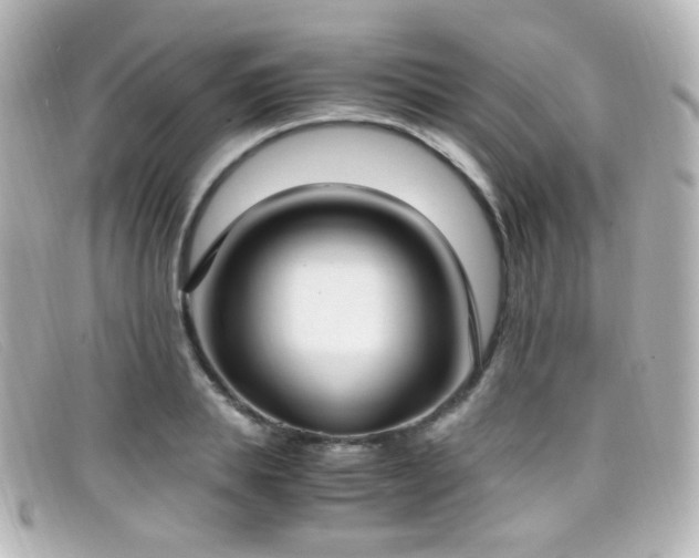 X0000099400839200805081532