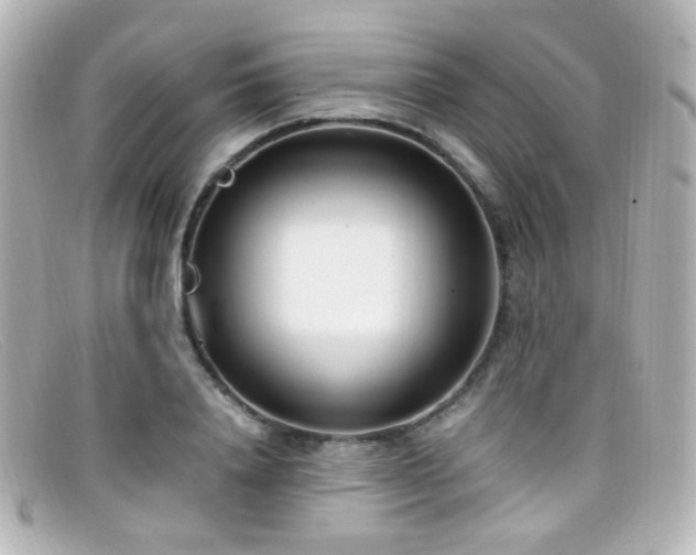 X0000099400840200805081532