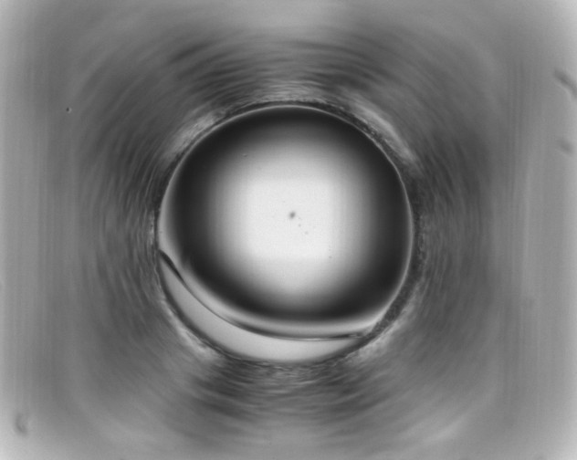 X0000099400841200805081532