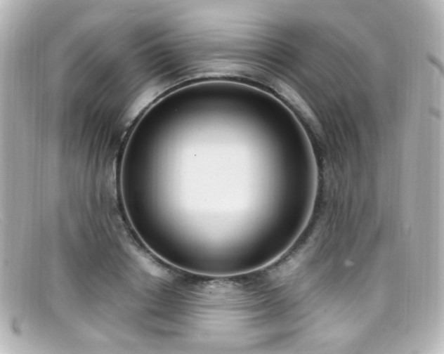 X0000099400842200805081532