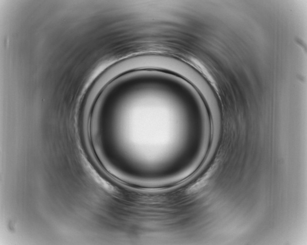 X0000099400843200805081532