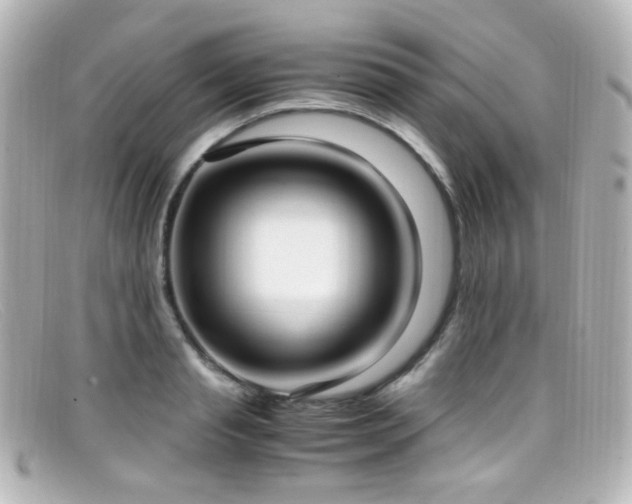 X0000099400845200805081532