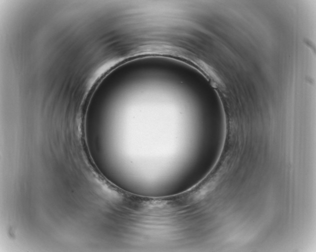 X0000099400846200805081532