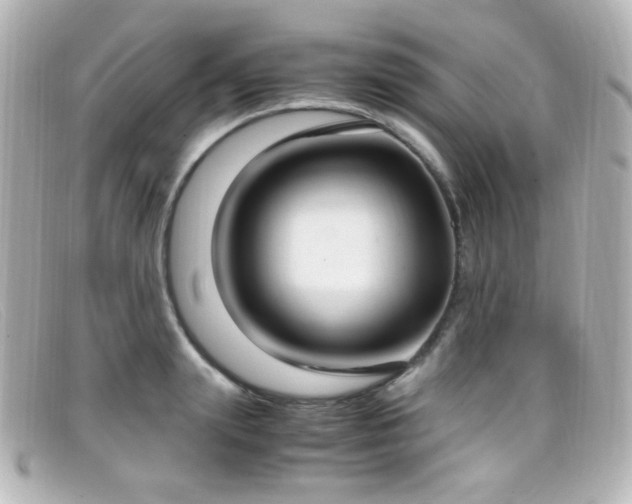 X0000099400847200805081532