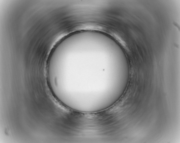 X0000099400848200805081532