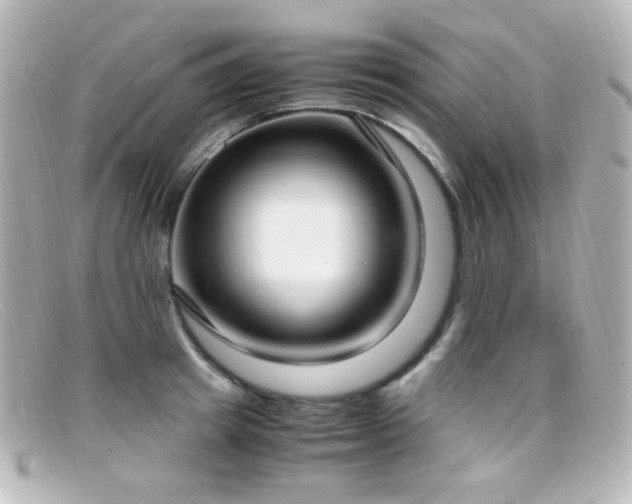 X0000099400849200805081532
