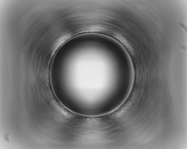X0000099400850200805081532