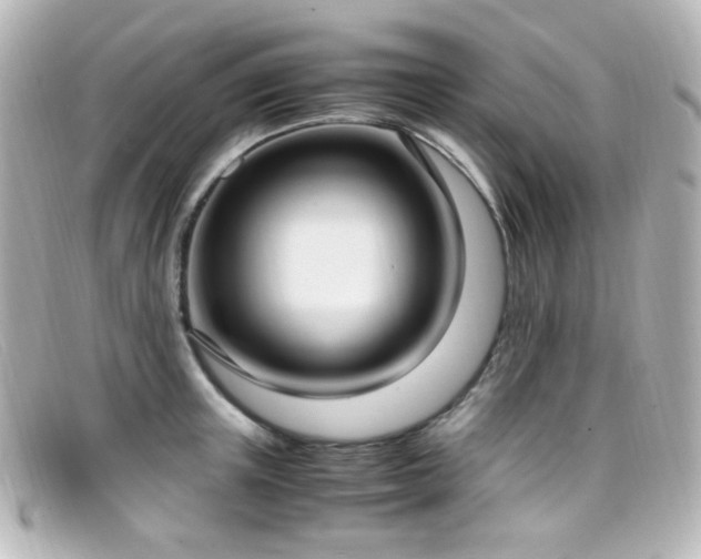X0000099400851200805081533