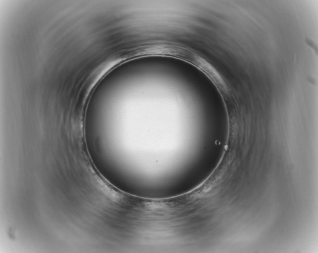 X0000099400852200805081533