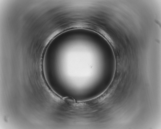 X0000099400853200805081533