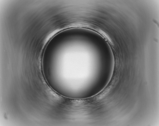 X0000099400854200805081533