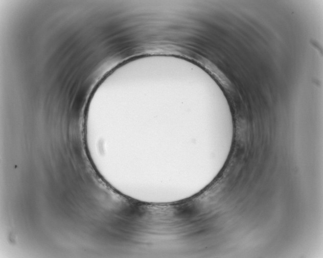 X0000099400856200805081533