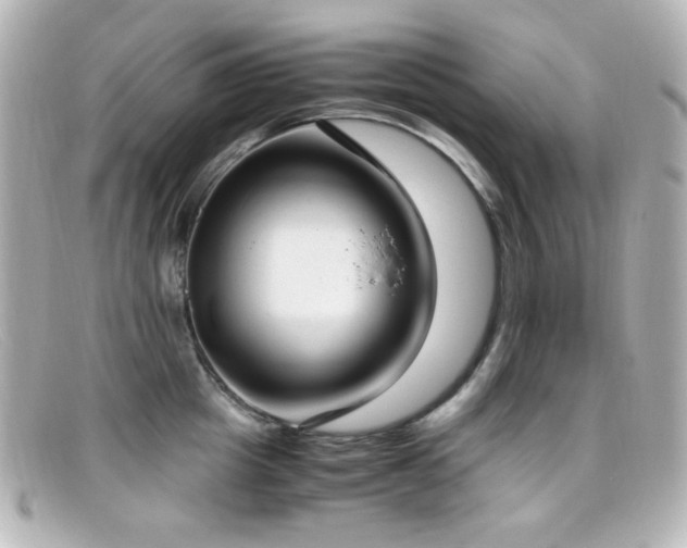 X0000099400857200805081533