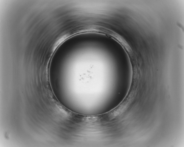 X0000099400858200805081533