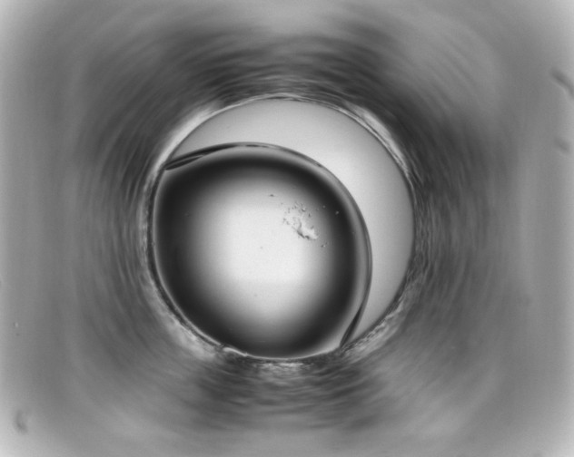 X0000099400859200805081533