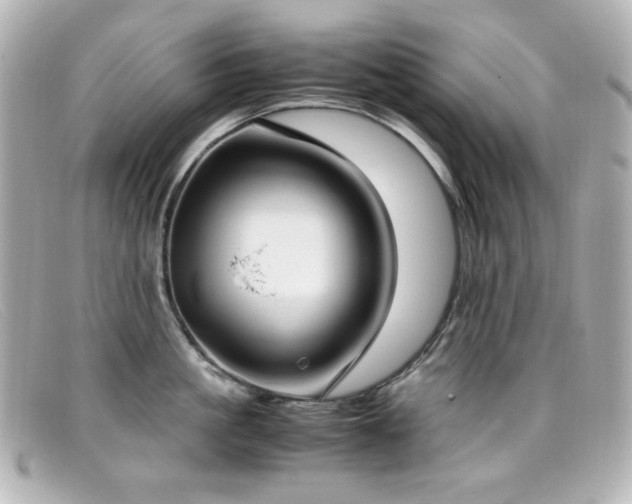 X0000099400861200805081533
