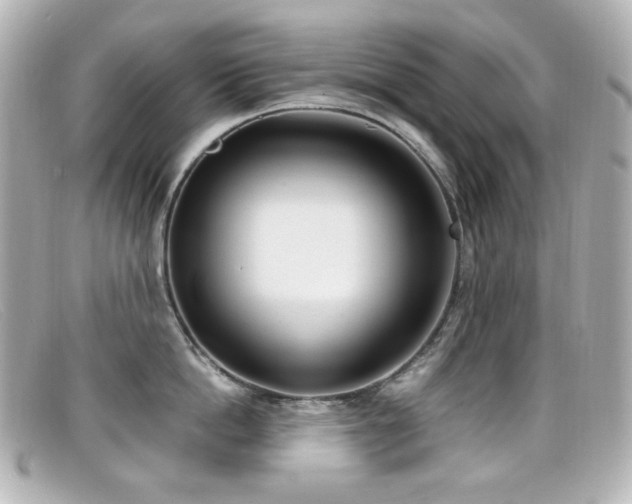 X0000099400862200805081533
