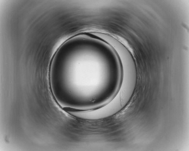 X0000099400863200805081533