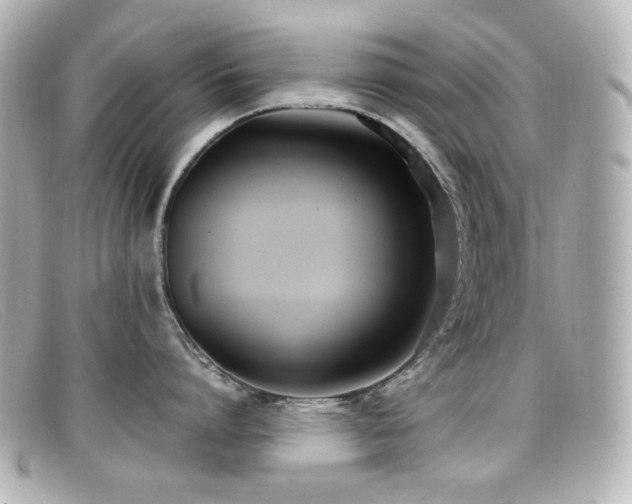 X0000099400864200805081533