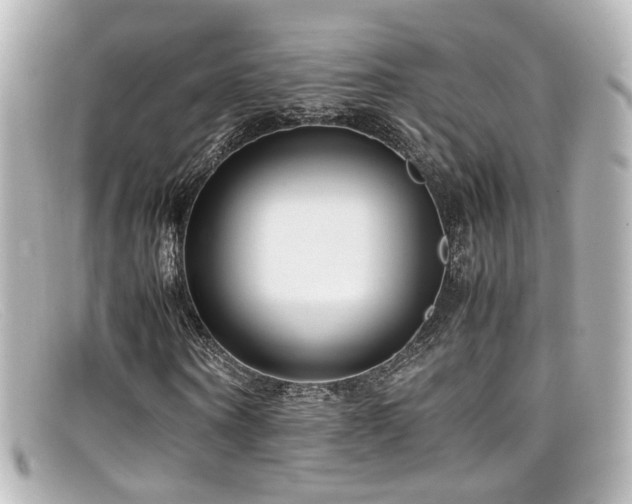 X0000099400866200805081532