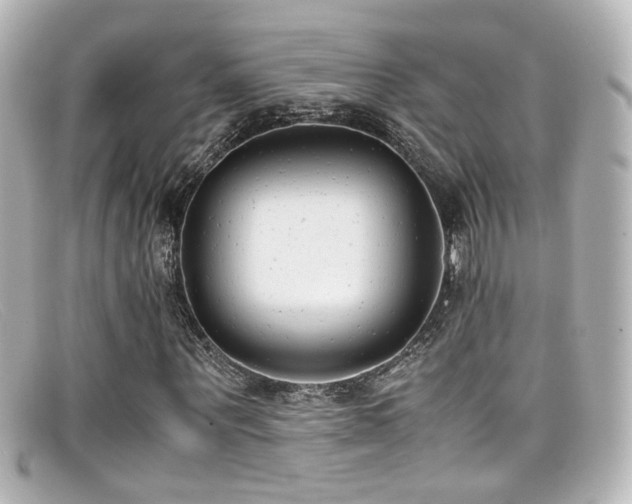 X0000099400867200805081532