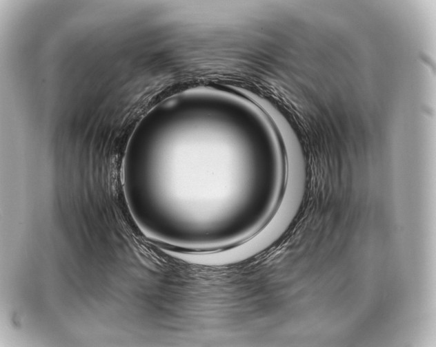 X0000099400868200805081532
