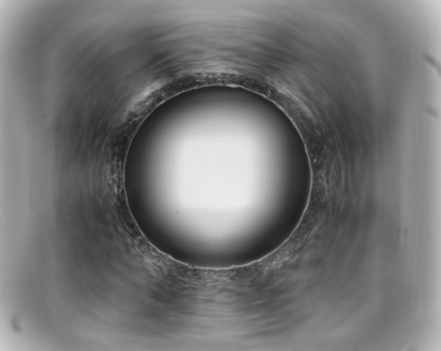 X0000099400870200805081532