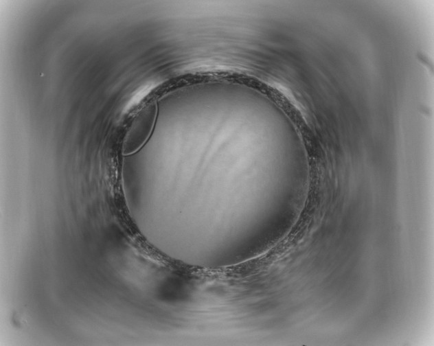 X0000099400871200805081532