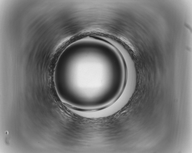 X0000099400872200805081532