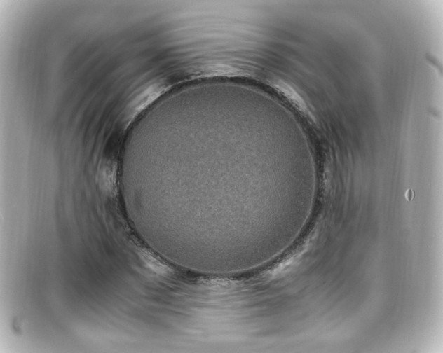 X0000099400873200805081532