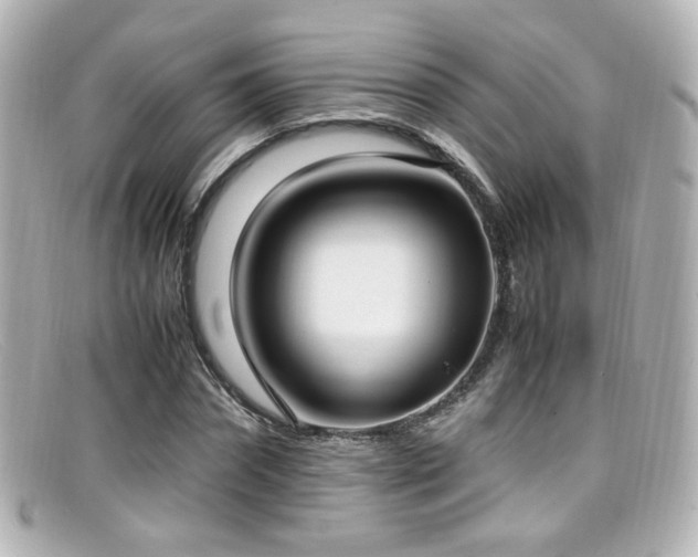 X0000099400874200805081532