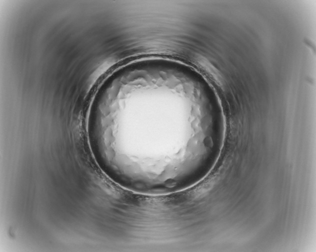 X0000099400875200805081532